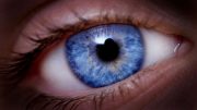 Police Can Now Identify Your Eye Color From DNA