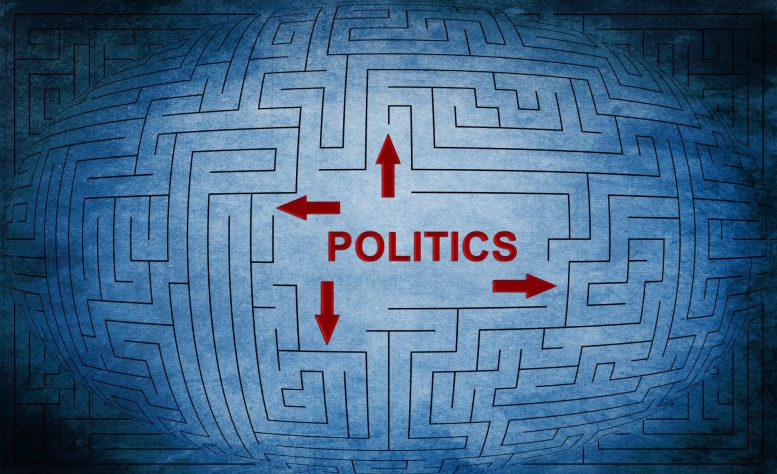 Politics Maze