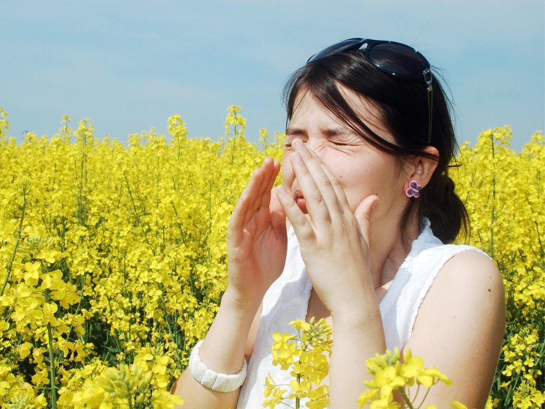 Pollen Allergies Hay Fever