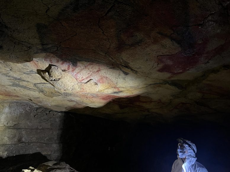 Polychrome Cave Paintings on Altamira’s Ceiling