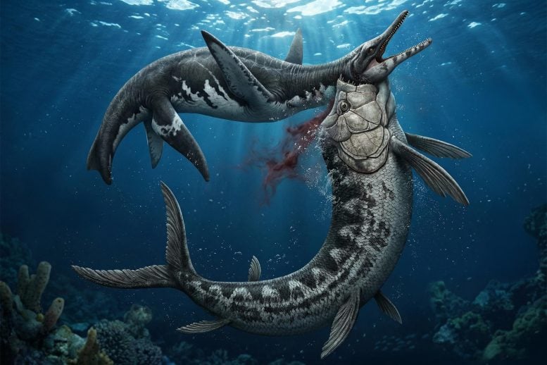 Extraordinary Fossil Reveals Fatal Duel Between Ocean Titans 80 Million Years Ago
