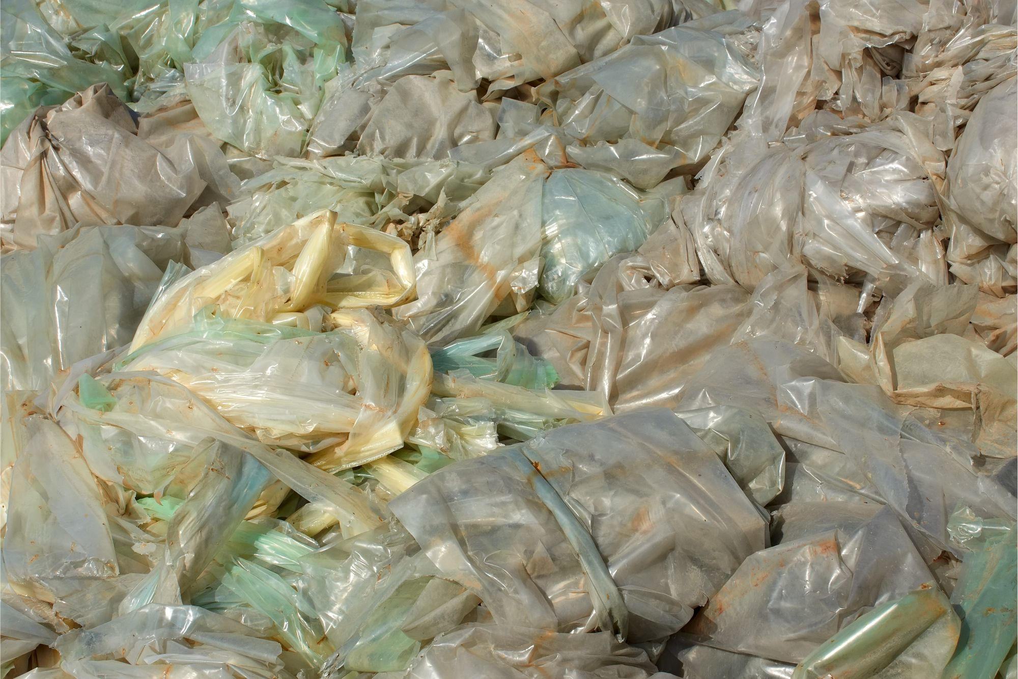 新しいリサイクル方法によりポリエチレン廃棄物は過去のものになる可能性がある