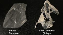 Polymer Degradation in Compost