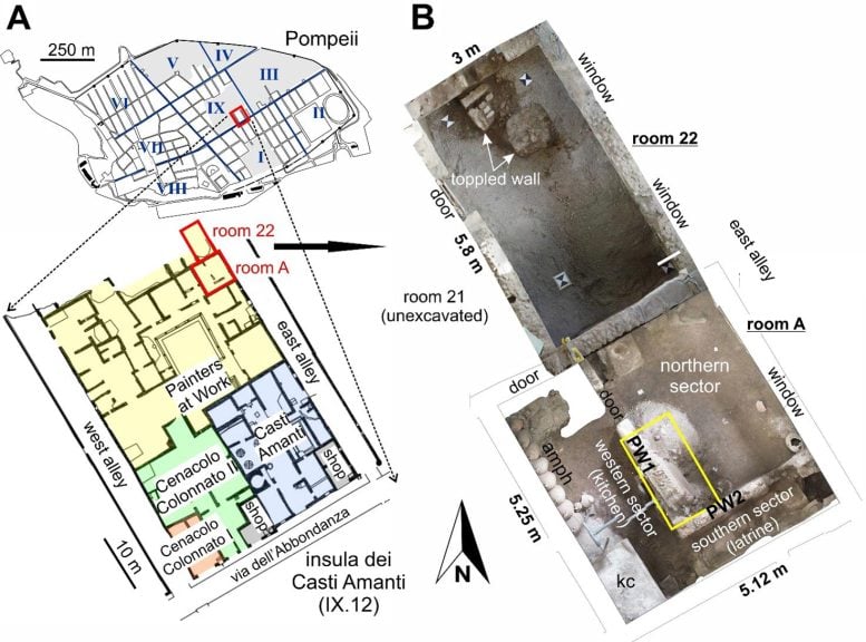 Pompeii Excavation Location