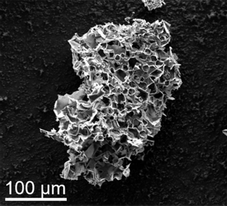 Pores in Micron Scale Particle