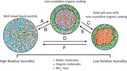 Possible Phase Transitions of Particles Containing Mixtures of Organic and Inorganic Material