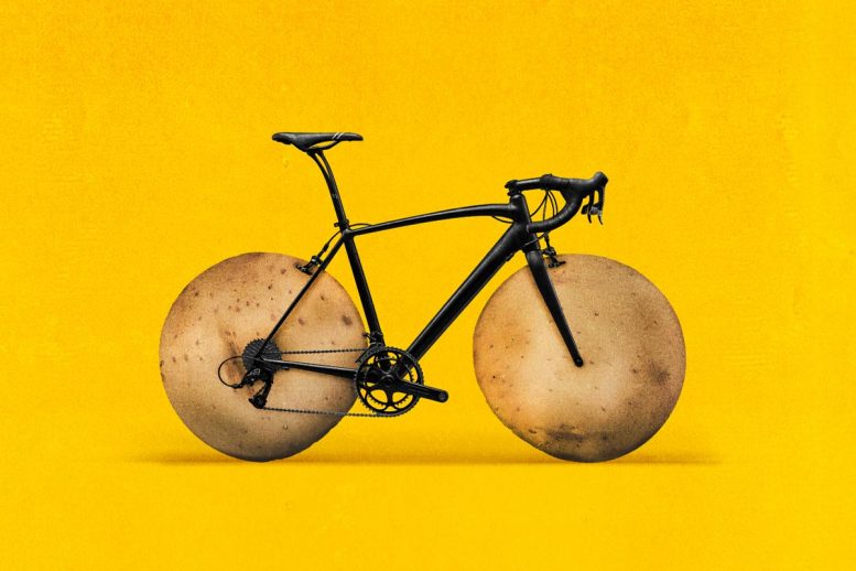 Potatoes and Cyclists