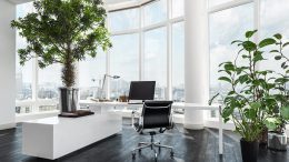 Potted Plants Office