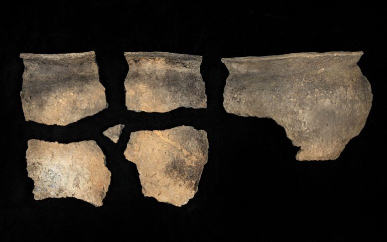Pottery Fragments From Mission San Francisco de Potano