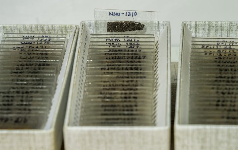 Pottery Thin Sections Prepared for Petrographic Analysis