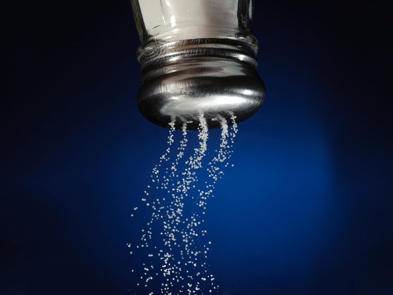 Pouring Table Salt From Shaker