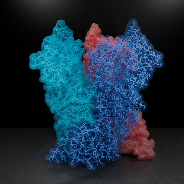 Poxviral Core Protein A10 Structure