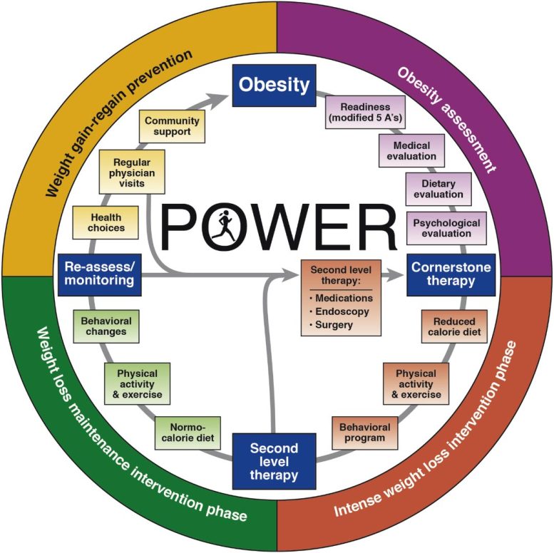 Practice Guide on Obesity and Weight Management