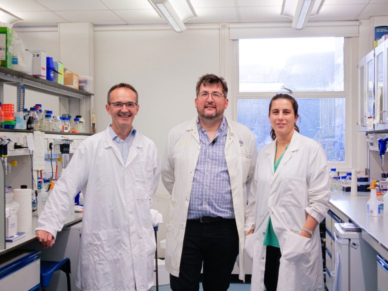 Pre Methylenomycin C Lactone Research Team