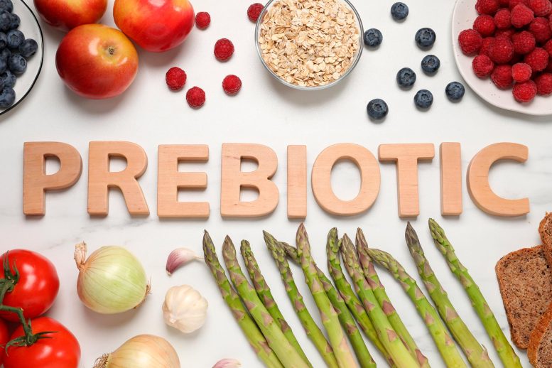 Prebiotic Food Sources
