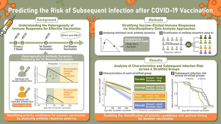 Predicting the Risk of Subsequent Infection After COVID 19 Vaccination