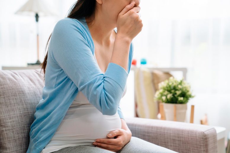 Pregnant Woman Morning Sickness