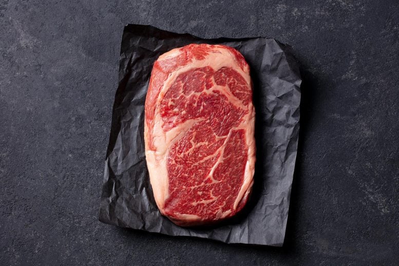 Premium Marbled Beef Steak Meat