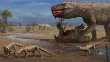 Ancient Crocodile-Like Reptile Discovered in Brazil