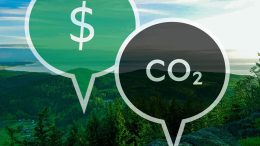 Pricing Carbon Valuing People