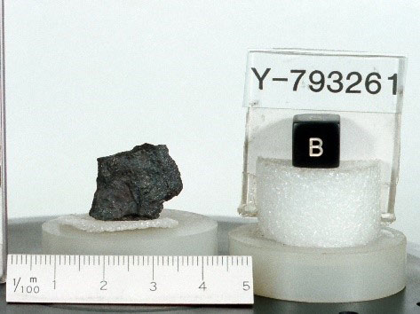 Primitive Meteorite Y 793261