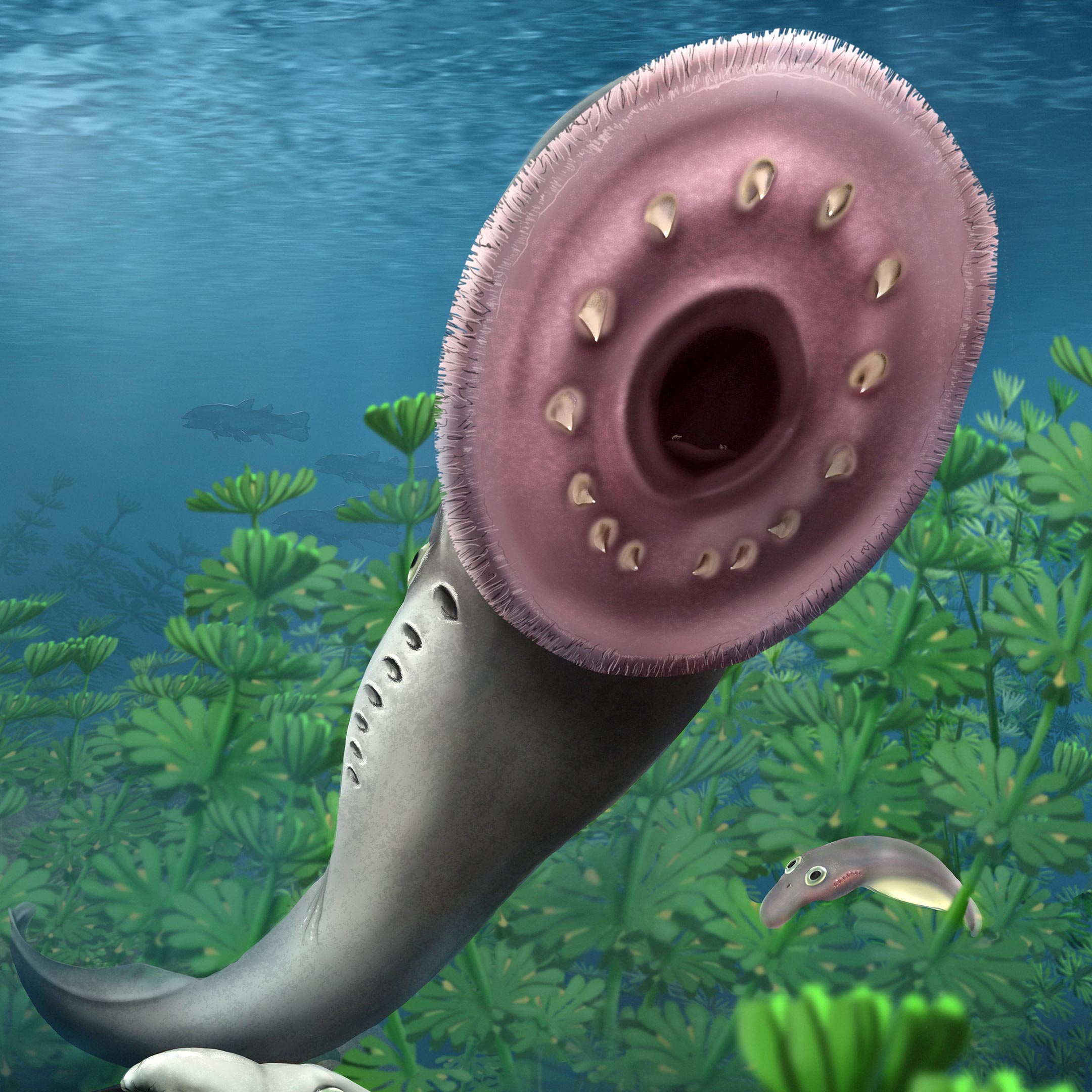 Fossilized Fish Larvae Discovery Challenges LongAccepted Theory of Vertebrate Origin