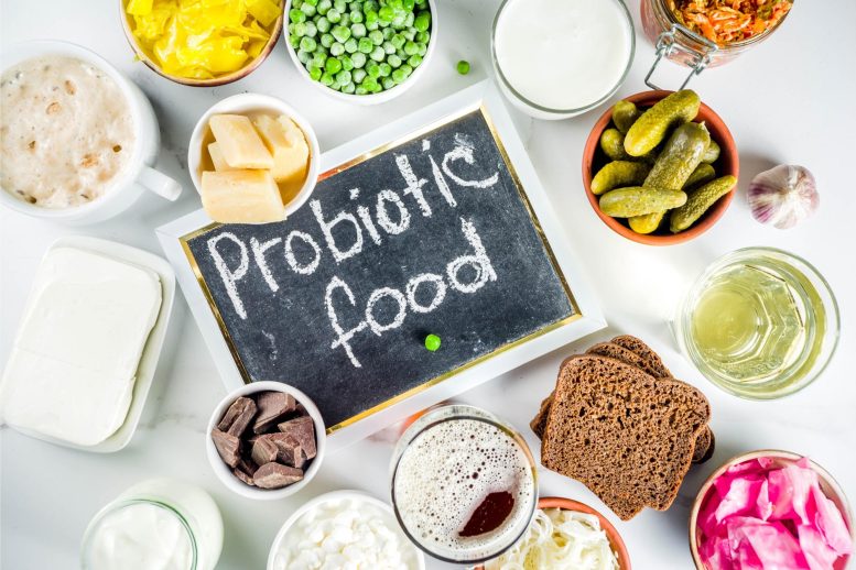 Alimenti probiotici