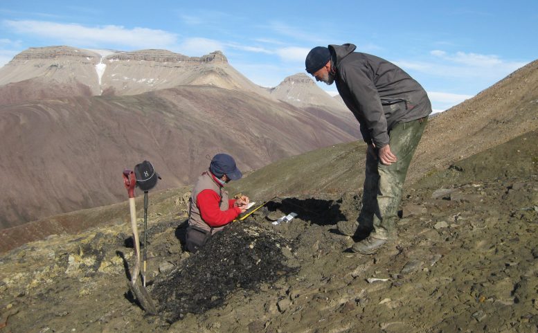 Professor John Marshall Collecting Samples in Spitsbergen