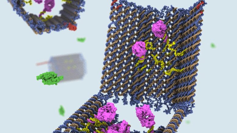 Cancer-Fighting DNA Nanorobots Could Target Specific Cells for Repair