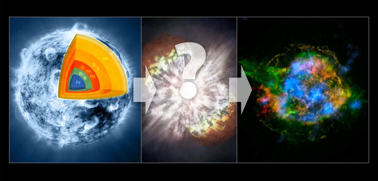 Progression of a Supernova Explosion