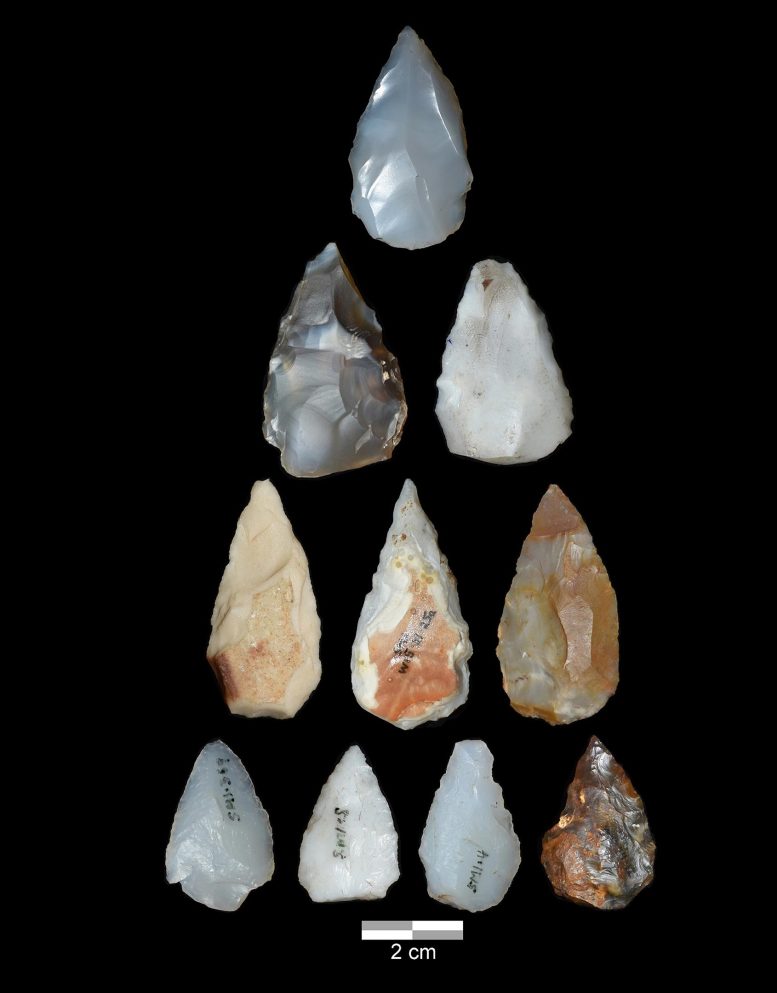 Projectile Points From Middle Stone Age Archaeological Site Shinfa-Metema 1