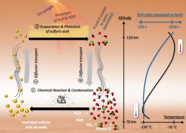 Proposed Venus Mesospheric Water Cycle Mechanism