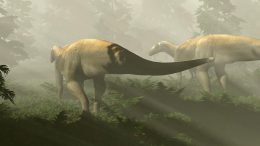 Prosauropod