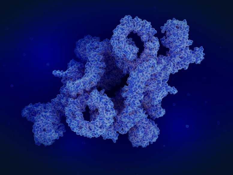 Protein Complex