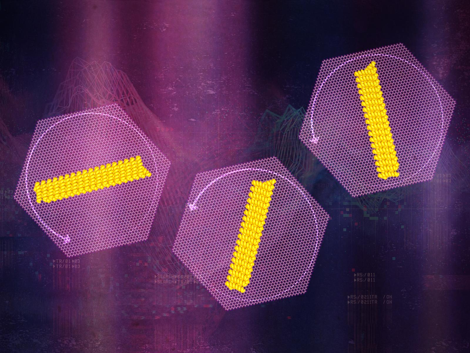 Protein Nanorods PNNL