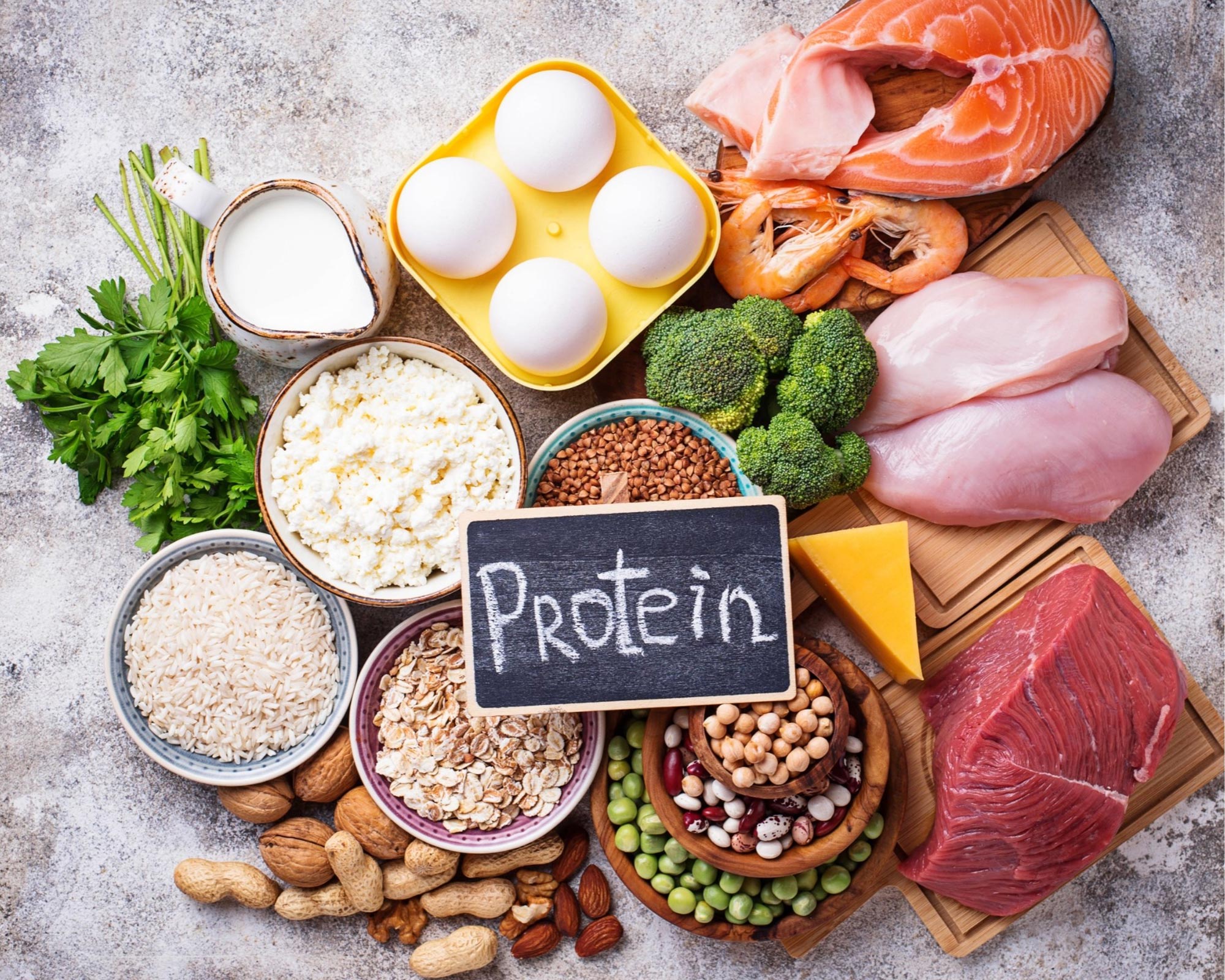 Scientists Shed New Light on the Protein Diet Paradox