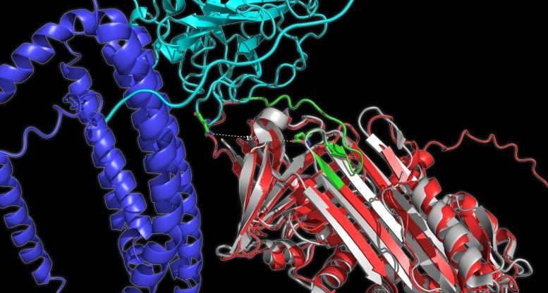 Protein Shapes That Track Alzheimer’s Progression