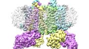 Protein Structure Solved