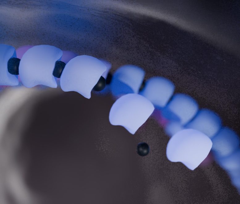 Proteins Adding Onto Filament