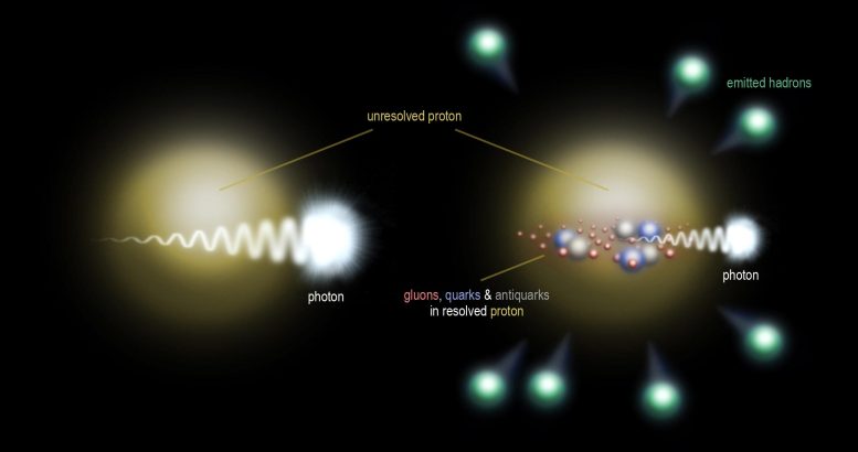 Proton Interior Maximum Entanglement