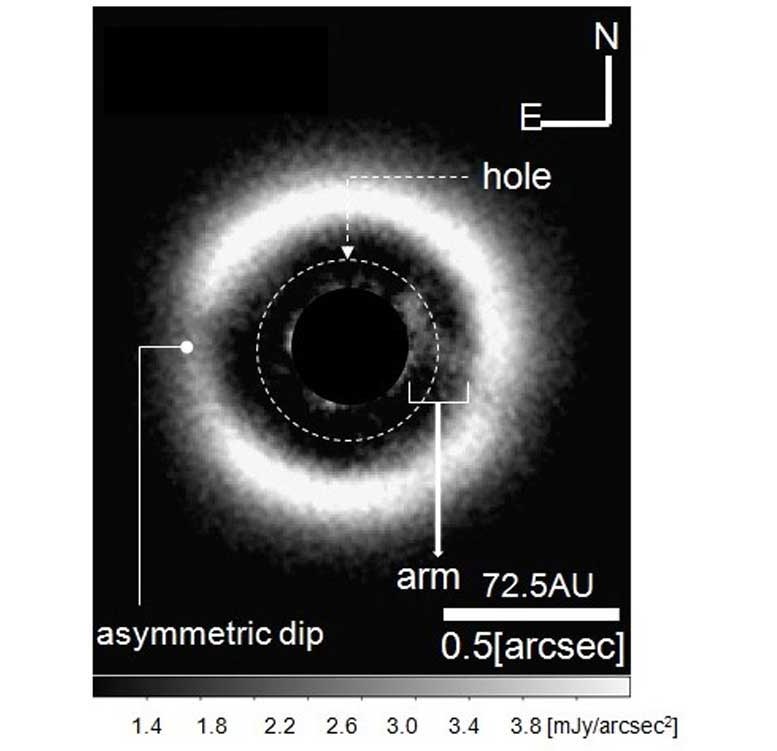 Protoplanetary Disk Around Star J 1604