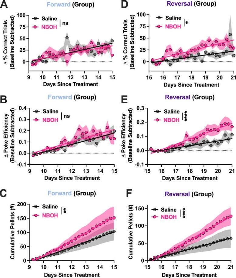 Psychedelic Treatment Boosts Reversal Learning and Reward Performance