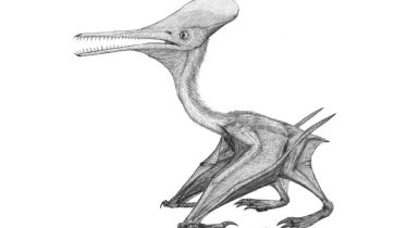 Jurassic Giant Revealed: Massive Pterosaur Fossil Unearthed in Oxfordshire, UK