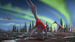 Pterosaur Cryodrakon Boreas