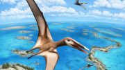 Pterosaurs Illustration