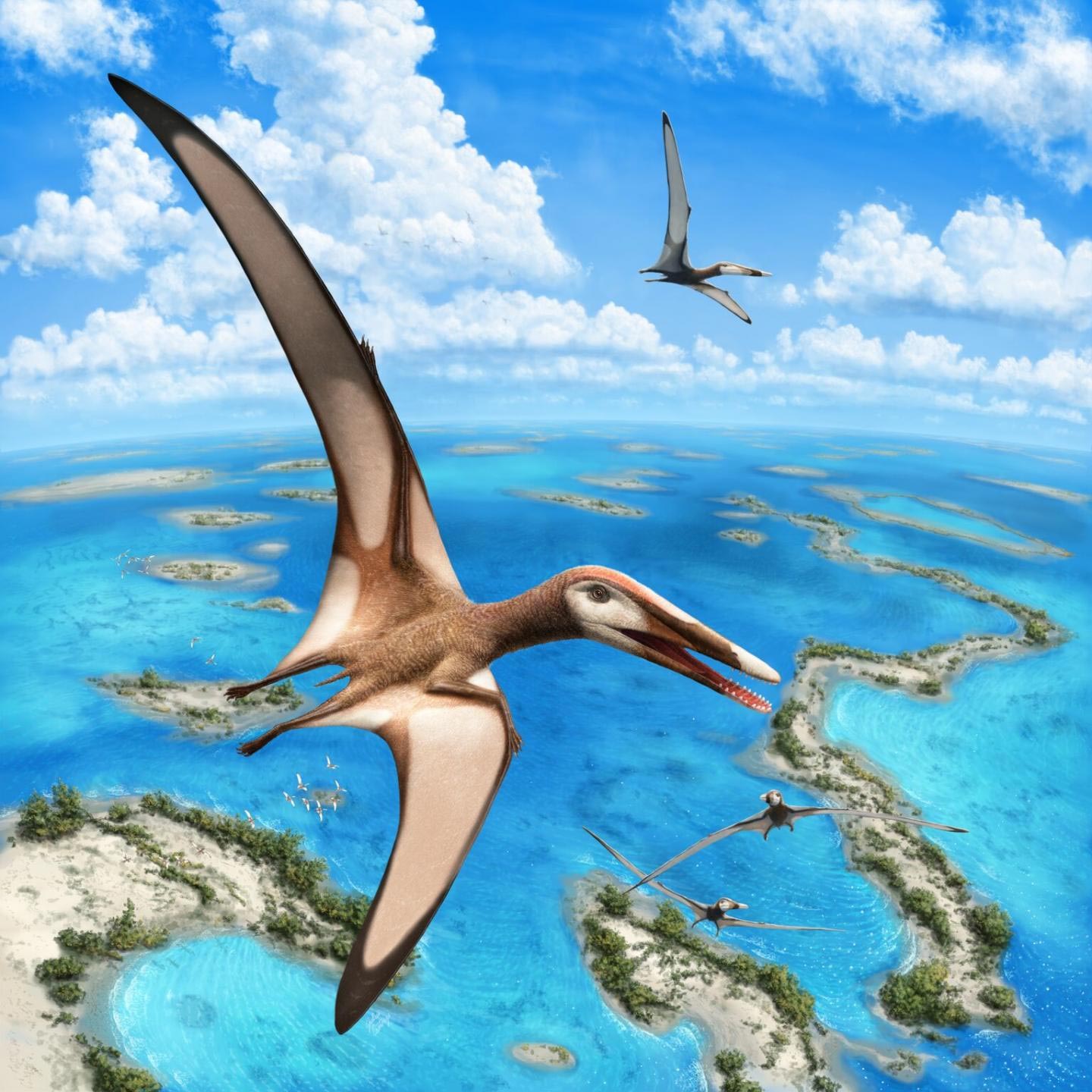 New Group Of Ancient Flying Reptiles Identified By Paleontologists 