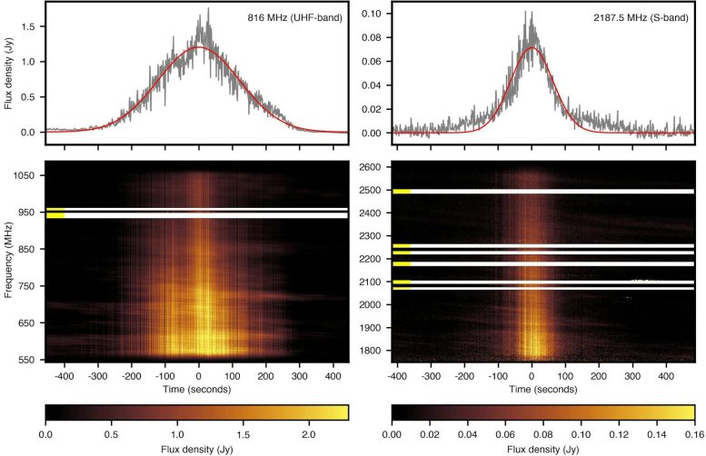 Pulse Detected by MeerKAT Telescope