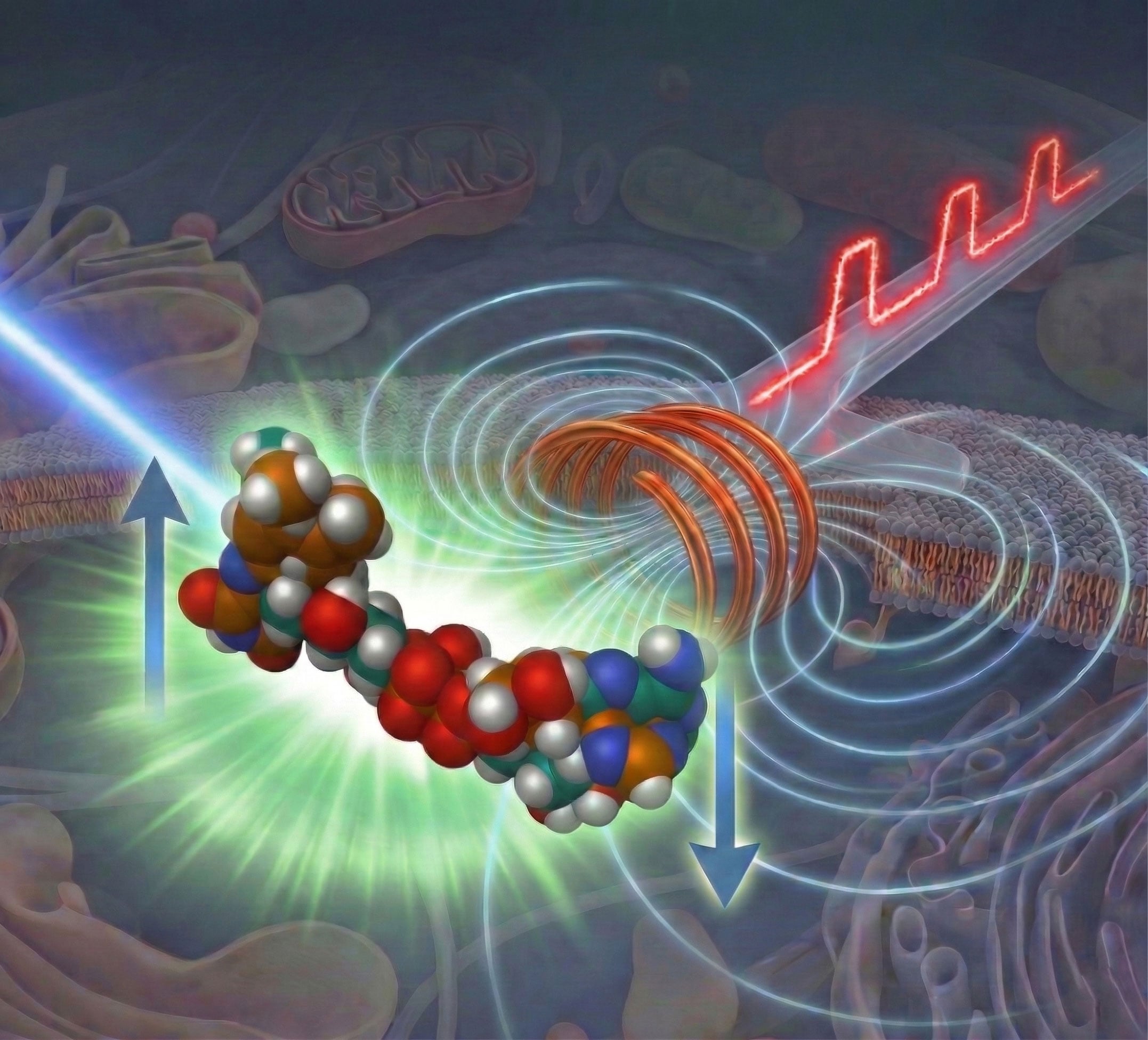 Scientists Unveil Microscopy Breakthrough That Reveals “Invisible” Molecular States