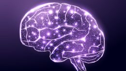 Purple Brain Wireframe