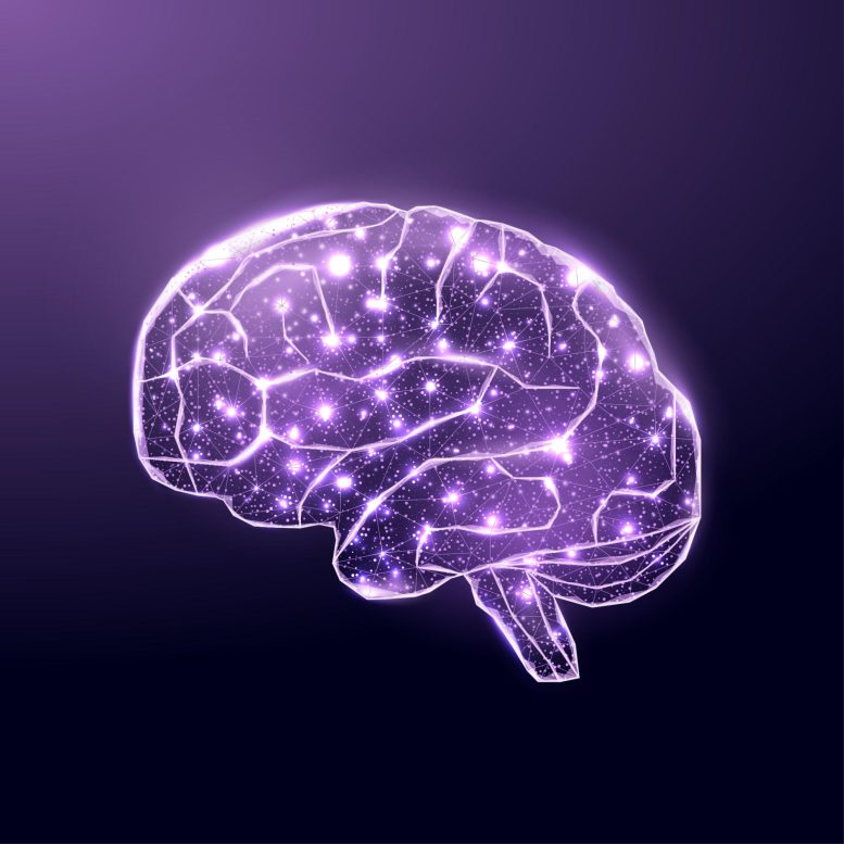 Purple Brain Wireframe